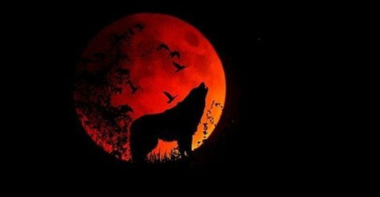Уникальное астрономическое явление: Волчья Луна в январе 2020