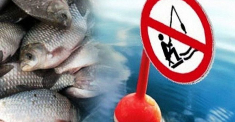 На Донеччині з 1 листопада обмежать вилов риби: порушників штрафуватимуть