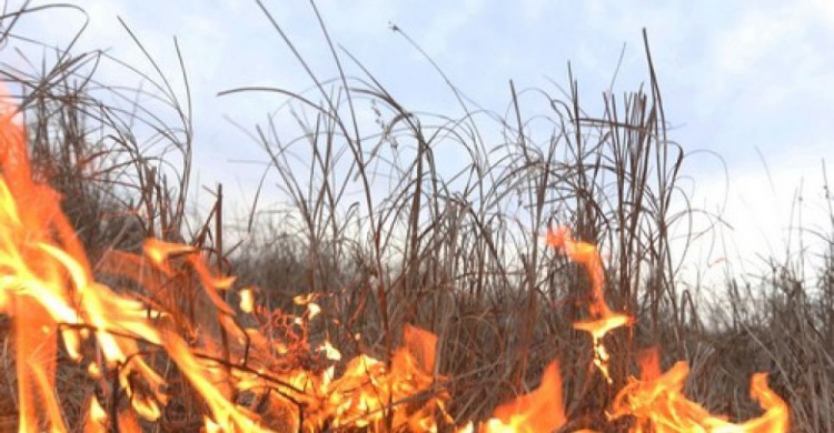 В Донецкой области из-за жары продолжаются пожары и прогнозы не радуют