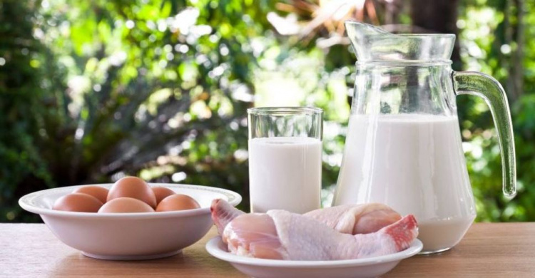 В Україні скоротилося виробництво молока, яєць та м’яса