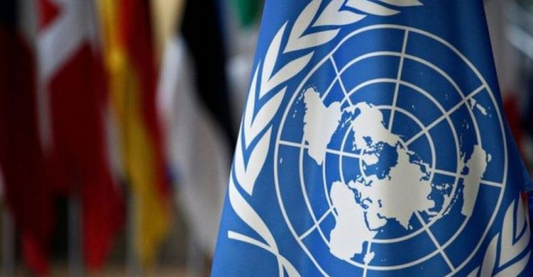 В ООН призвали провести всенародную перепись населения Украины
