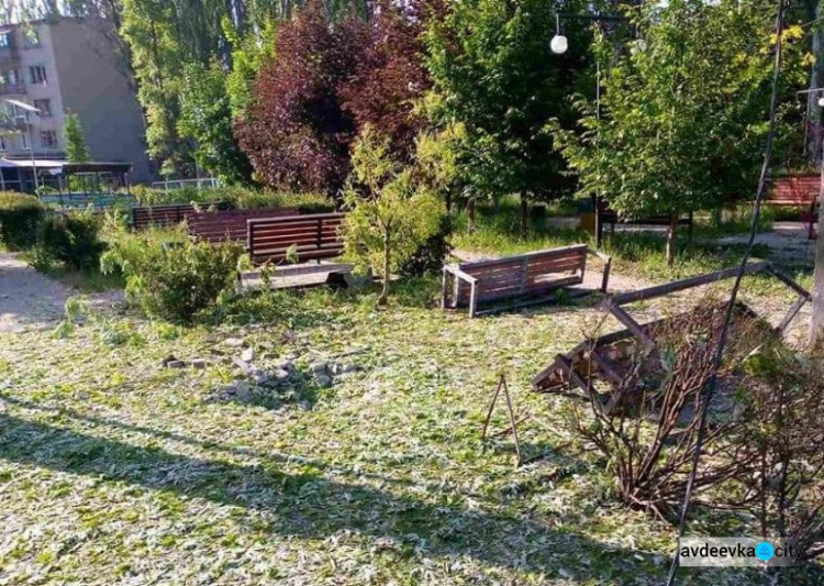 В Авдіївці рашисти знищують улюблений містянами парк відпочинку 