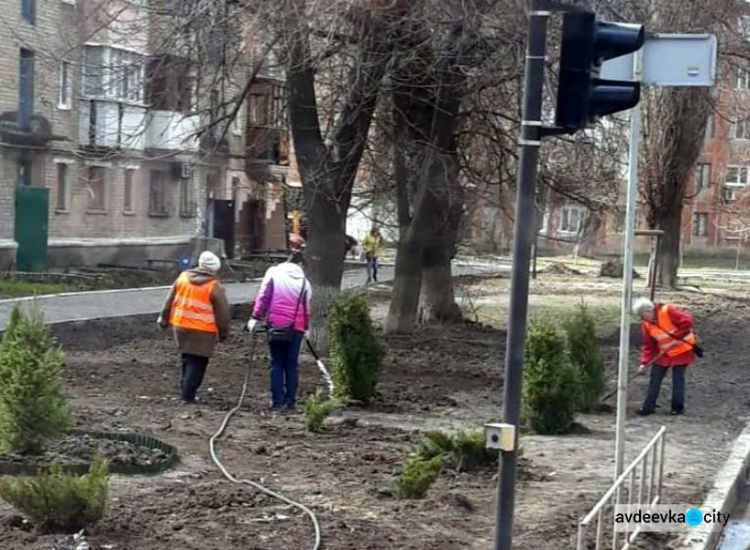 В Авдіївці комунальники озеленяють вулиці самшитом та ялівцем