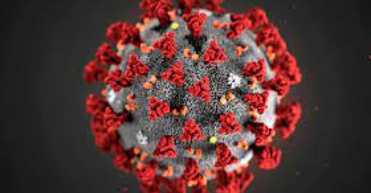 Число новых случаев заболевания коронавирусом за сутки уменьшилоось в два раза