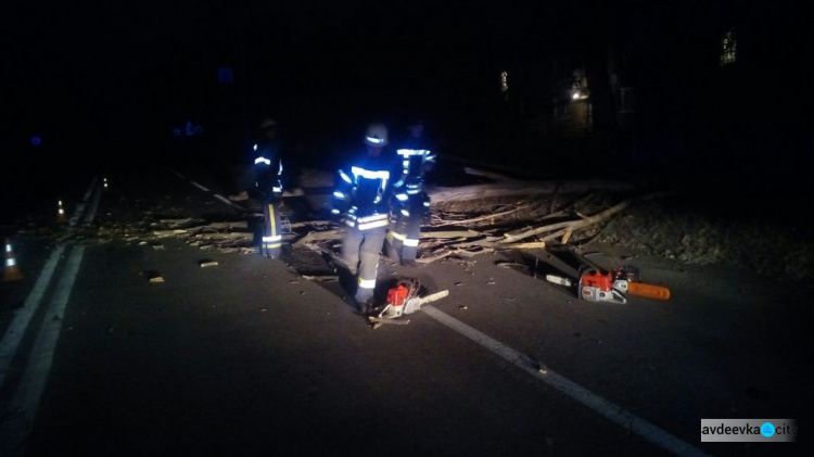На Донецкую область обрушился сильный ветер, спасатели убирают поваленные деревья (ФОТО)