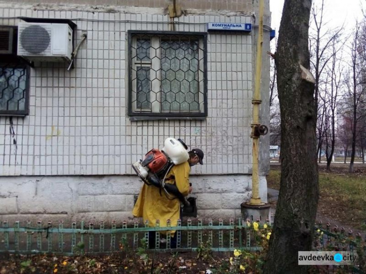 В Авдіївці комунальники проводять дезінсекцію підвальних приміщень: адреса будинків