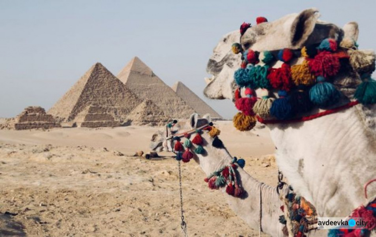 Места заканчиваются. Сколько стоят туры в Египет после рекордного скачка спроса в феврале